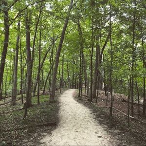 Meet your Posher, Reese